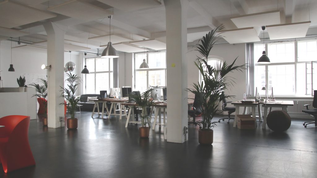 Experience the Difference That A Professional Janitorial Service Makes